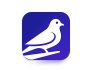 El auge del slow-cial: Roost, la red social que triunfa apostando por la lentitud