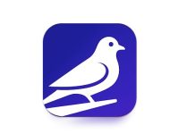 El auge del slow-cial: Roost, la red social que triunfa apostando por la lentitud