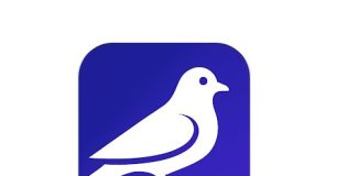 El auge del slow-cial: Roost, la red social que triunfa apostando por la lentitud