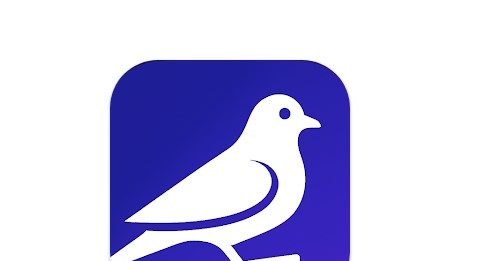 El auge del slow-cial: Roost, la red social que triunfa apostando por la lentitud