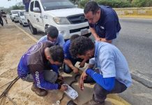 CANTV despliega plan de recuperación de las telecomunicaciones en zonas afectadas por los sismos