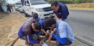 CANTV despliega plan de recuperación de las telecomunicaciones en zonas afectadas por los sismos