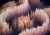 DeepMind lanza AlphaGenome Atlas para mapear 9 mil millones de variantes genéticas